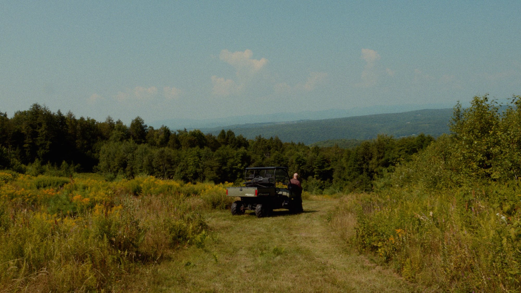 LINUS — hummingbird feeder