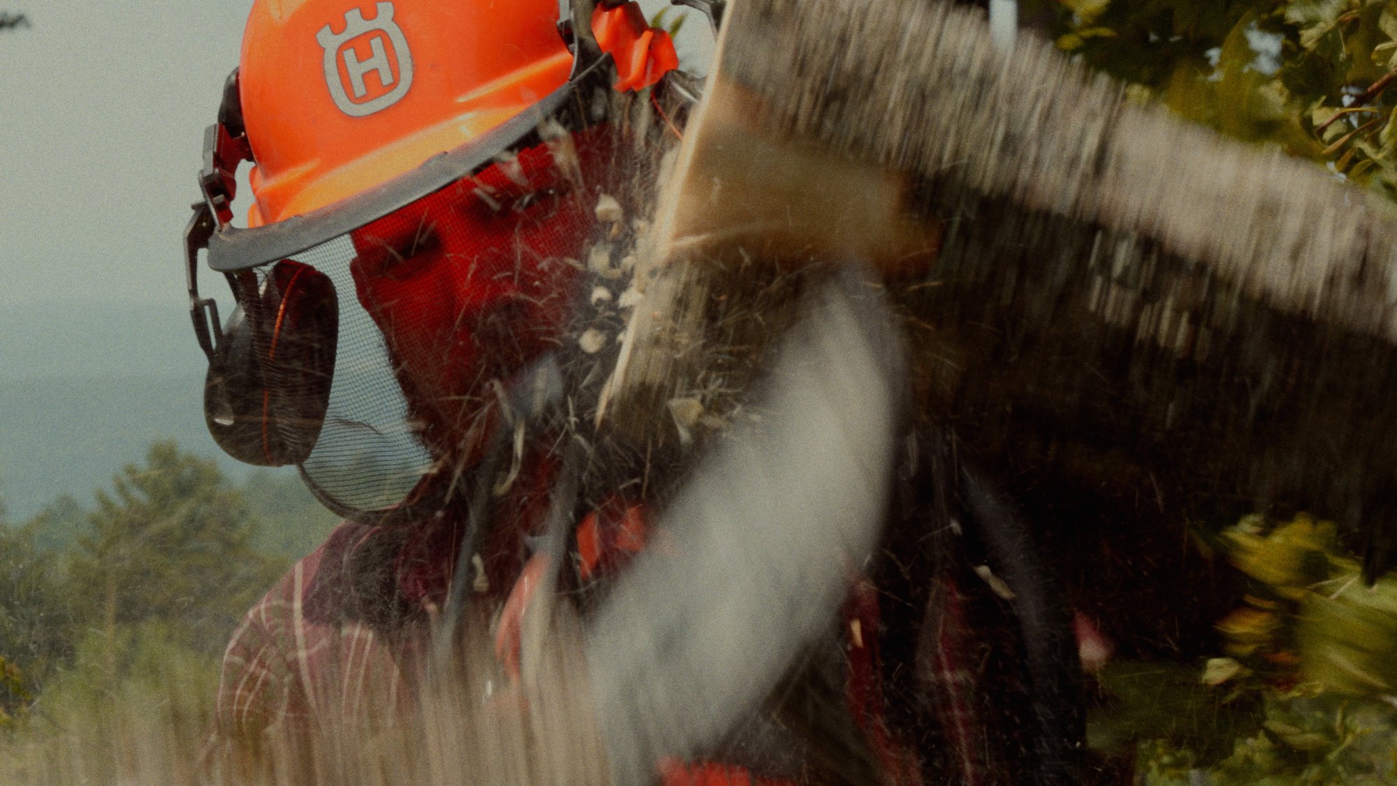 LINUS — Vermont field