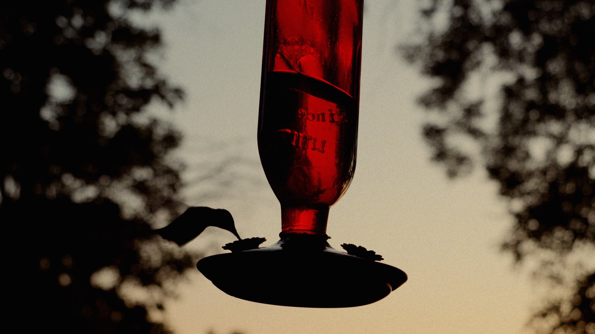 LINUS — two actors