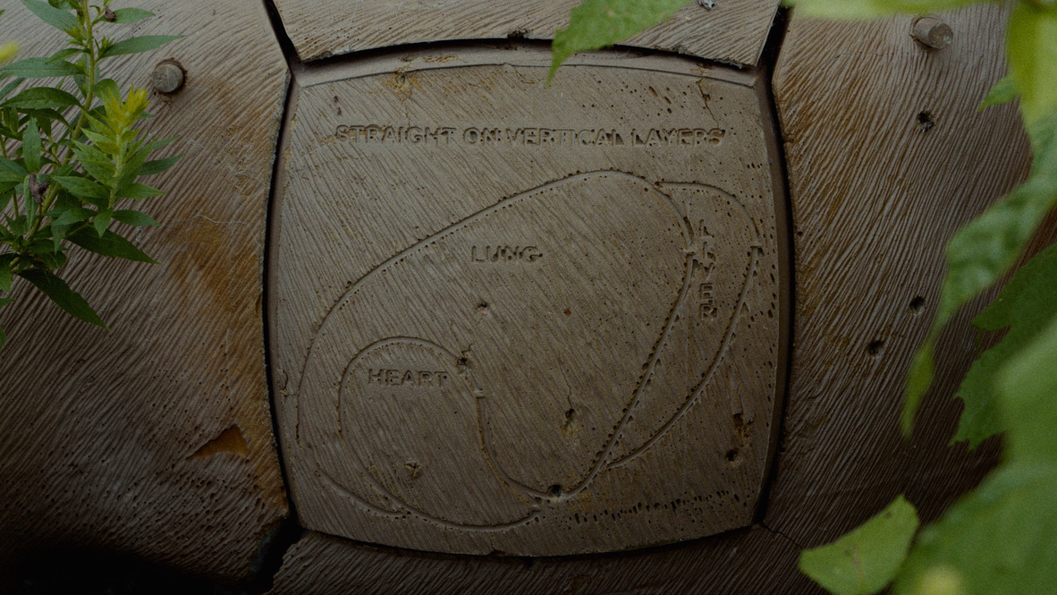 LINUS — anatomy sign